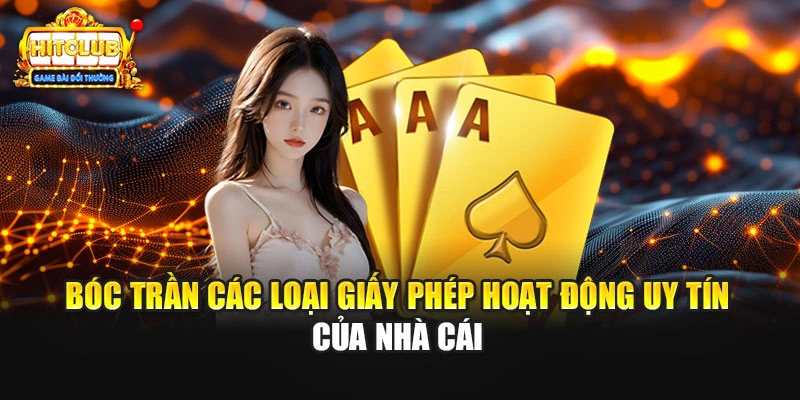 Bóc trần các loại giấy phép hoạt động uy tín của nhà cái
