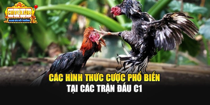 Các hình thức cược phổ biến tại các trận đấu C1 