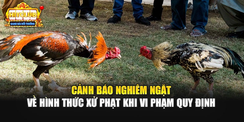 Cảnh báo nghiêm ngặt về hình thức xử phạt khi vi phạm quy định