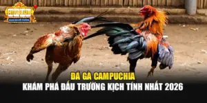 Đá Gà Campuchia - Khám Phá Đấu Trường Kịch Tính Nhất 2026