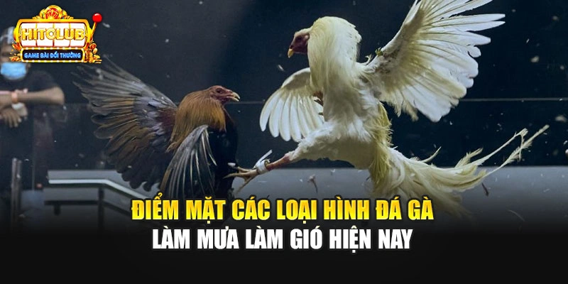 Điểm mặt các loại hình đá gà làm mưa làm gió hiện nay
