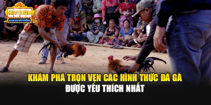 Khám phá trọn vẹn các hình thức đá gà được yêu thích nhất