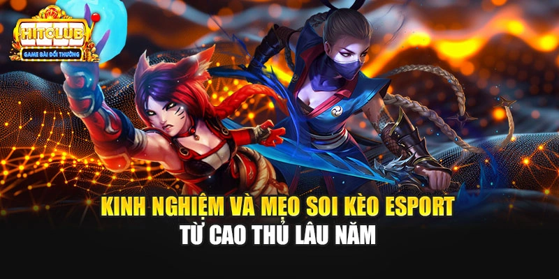 Kinh nghiệm và mẹo soi kèo Esport từ cao thủ lâu năm
