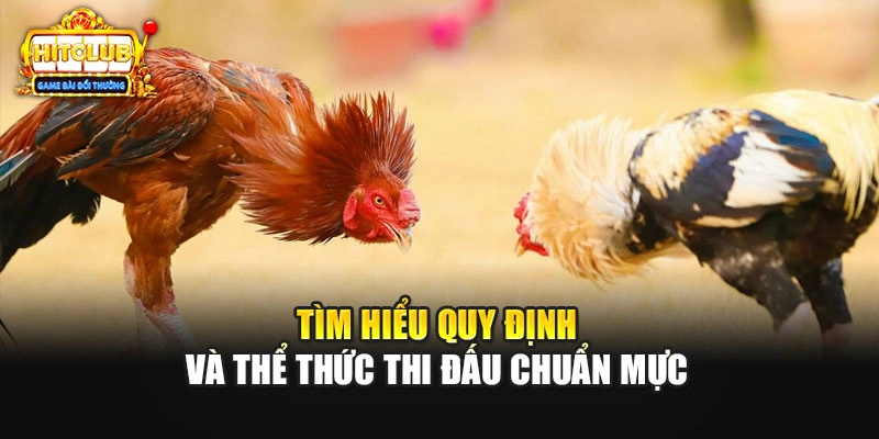 Tìm hiểu quy định và thể thức thi đấu chuẩn mực 