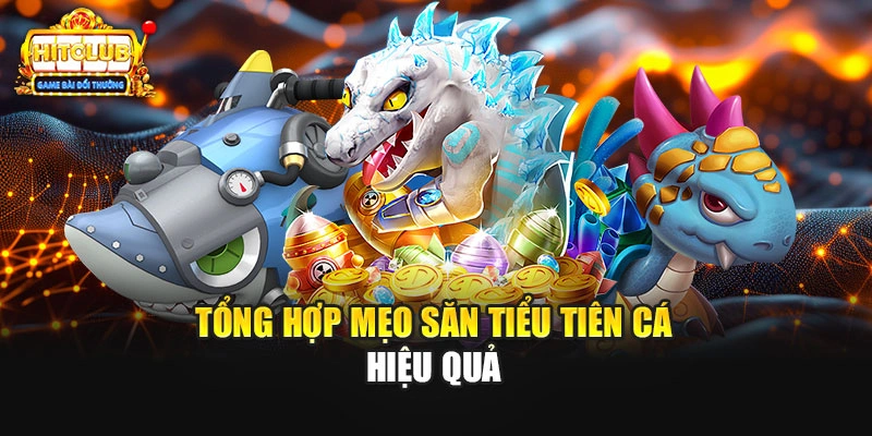 Tổng hợp mẹo săn tiểu tiên cá hiệu quả