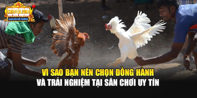 Vì sao bạn nên chọn đồng hành và trải nghiệm tại sân chơi uy tín